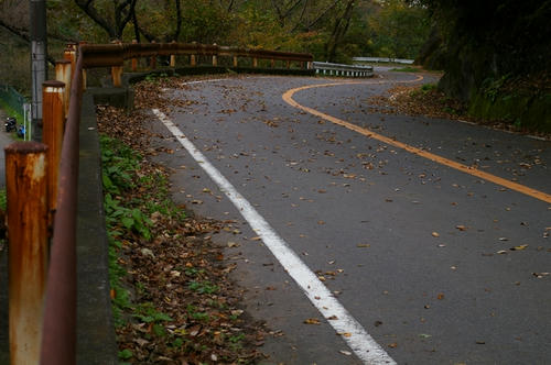20091116