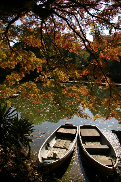 20091120