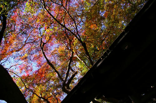 20091205