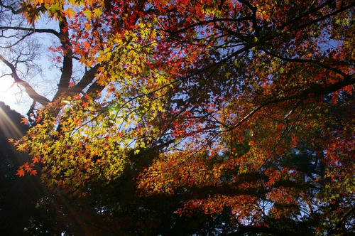 20091205