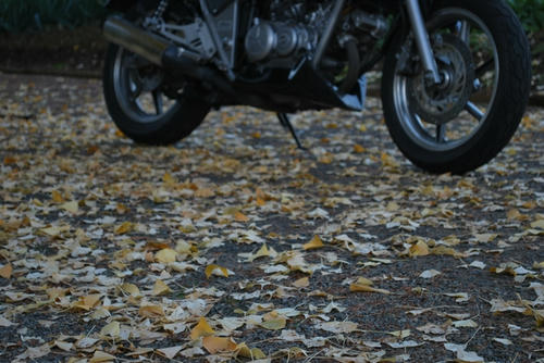 20091207