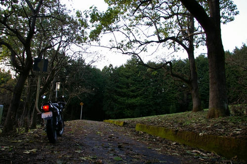 20091208