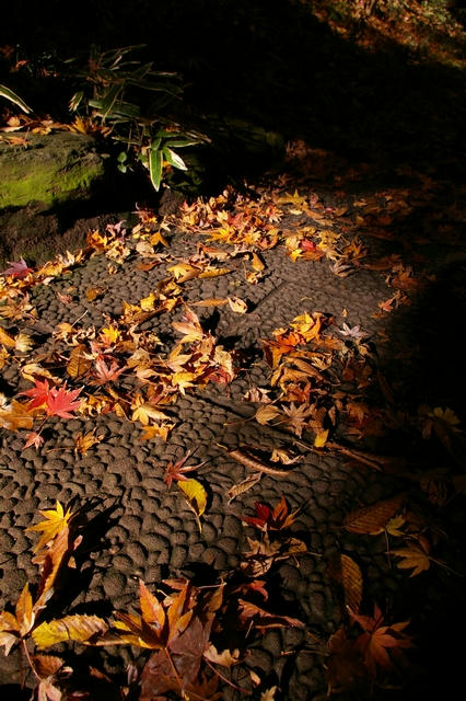 20091211
