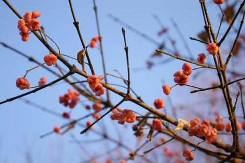 20100110