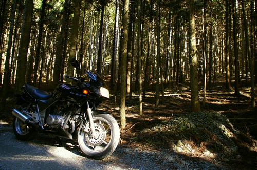 20100114
