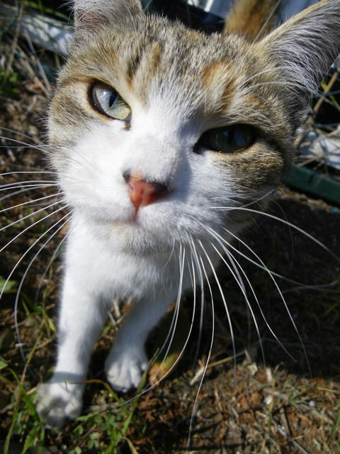 20100204