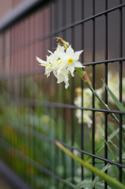 20100306