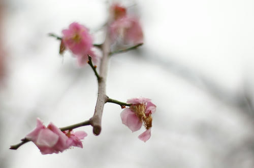 20100306