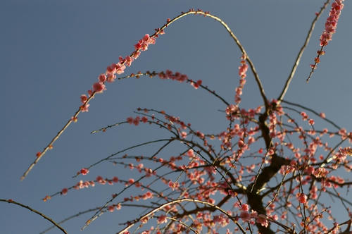 20100311