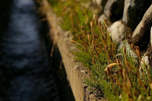 20100311