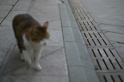 20100312