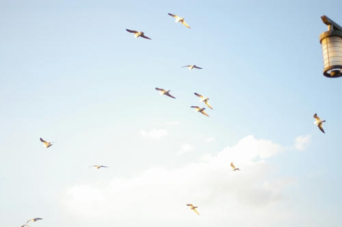 20100313
