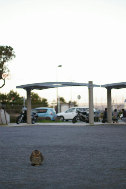 20100313