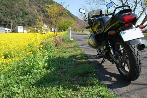 20100323