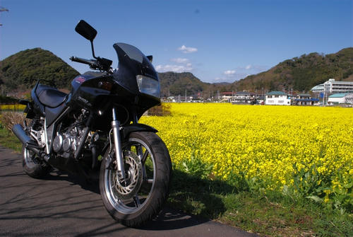 20100323