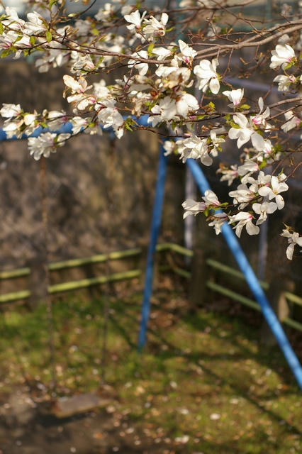 20100405