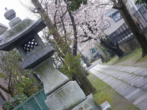 20100406