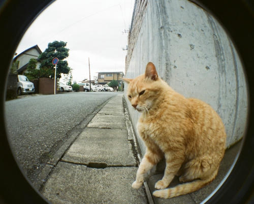 20100407