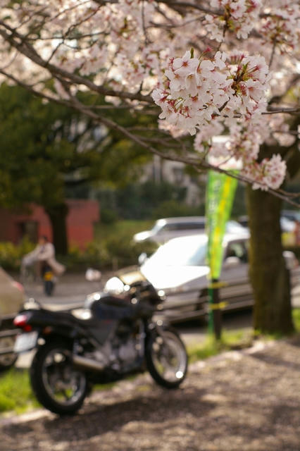 20100409