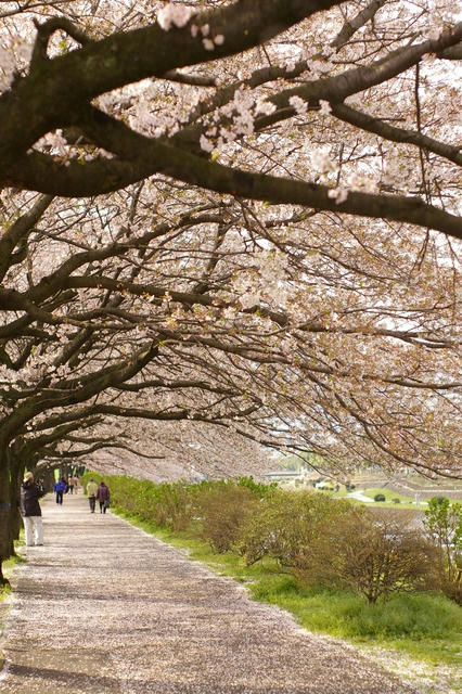 20100409