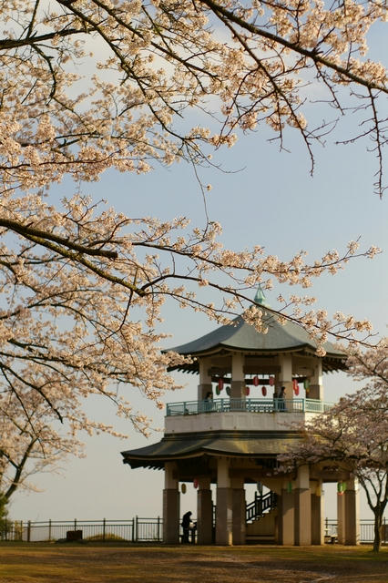 20100409