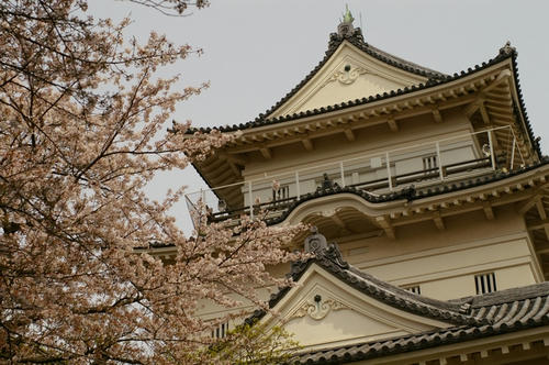 20100412
