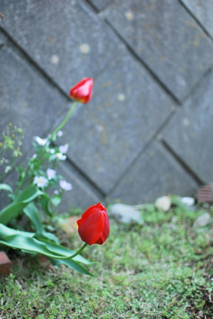 20100425