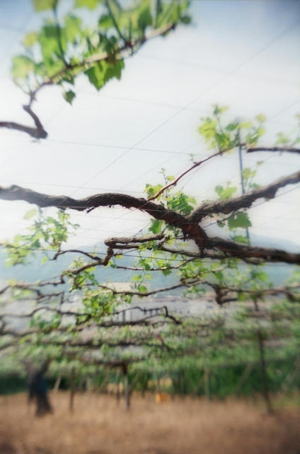 20100516