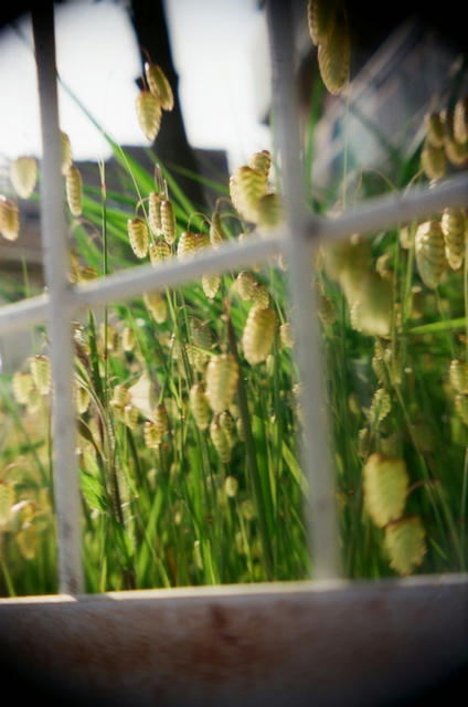 20100518