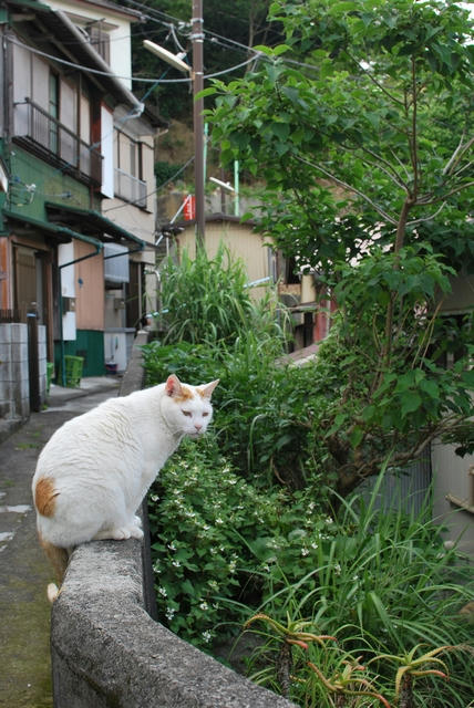 20100607