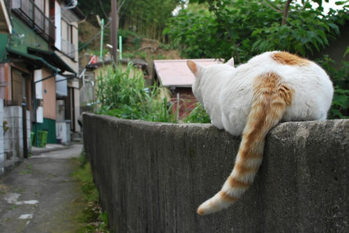 20100607
