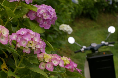 20100622