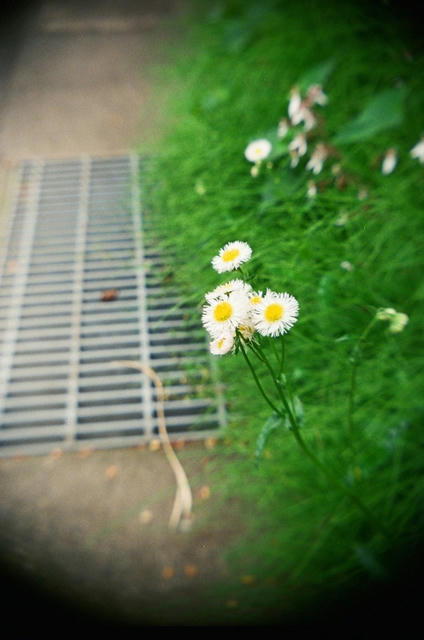 20100626