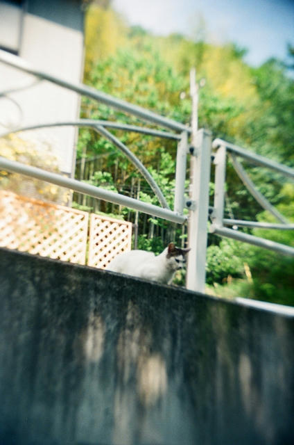 20100701