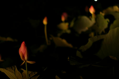 20100705
