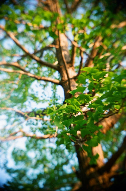 20100713