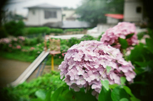 20100722