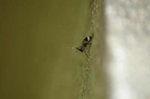 20100731