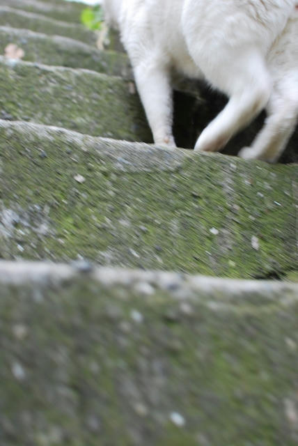 20100827