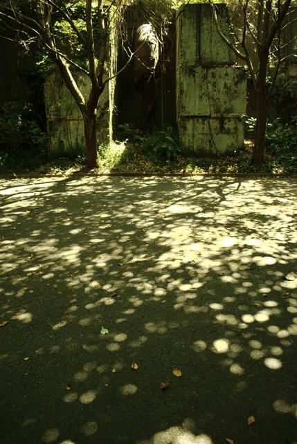 20100828