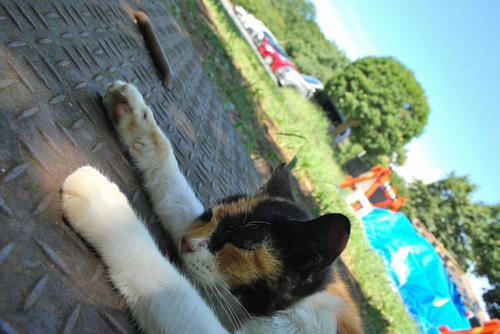 20100829