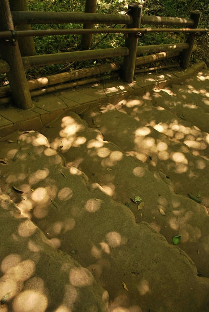 20100829