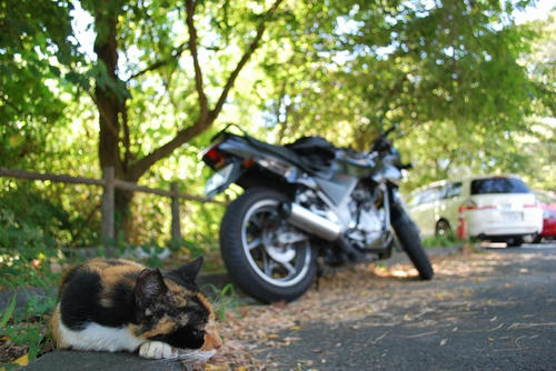 20100830