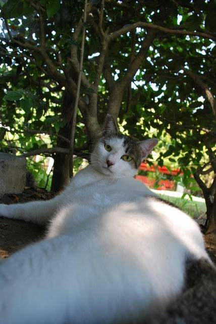 20100831