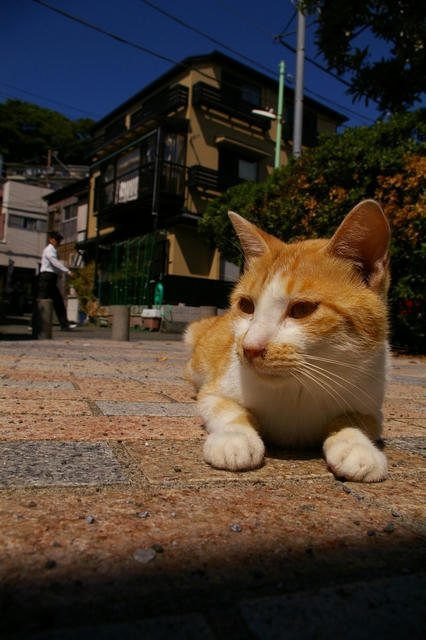 20100918