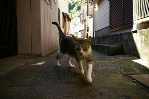 20100926