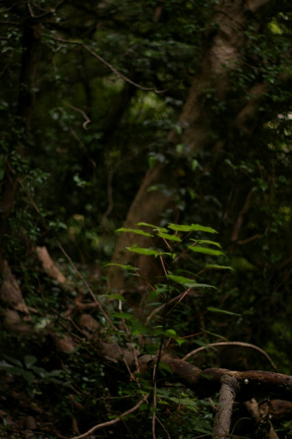 20101025