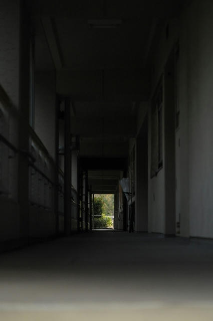 20101108