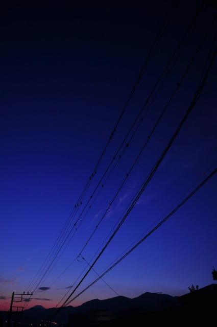 20101109