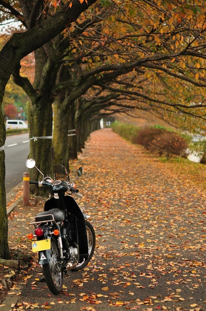 20101114